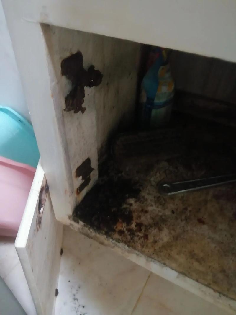 卫生间镜柜里过期发黄的日用品