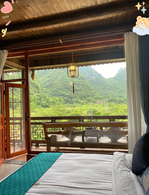 龙王冲村民宿窗外正对的连片杉树林山景