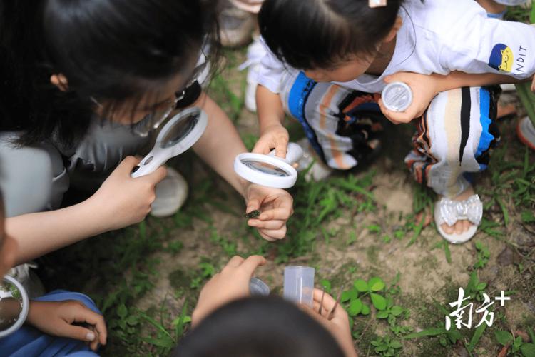 乡村小学没有围墙的自然教育课堂现场
