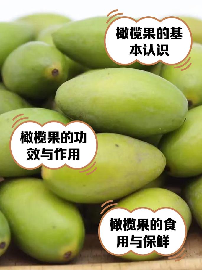 橄榄:苦涩与醇香之间的千年驯化史-因为所以
