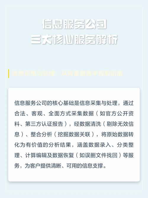 各服务主体核心信息解析