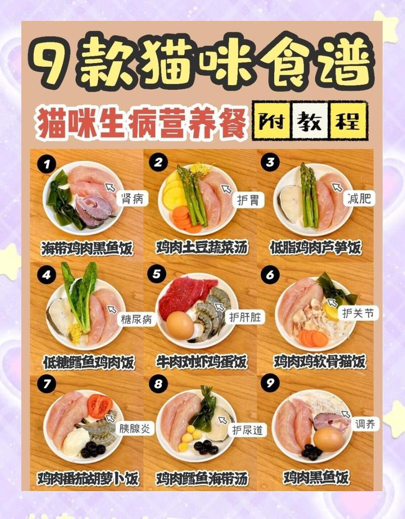 家养猫咪日常补充赖氨酸的营养餐