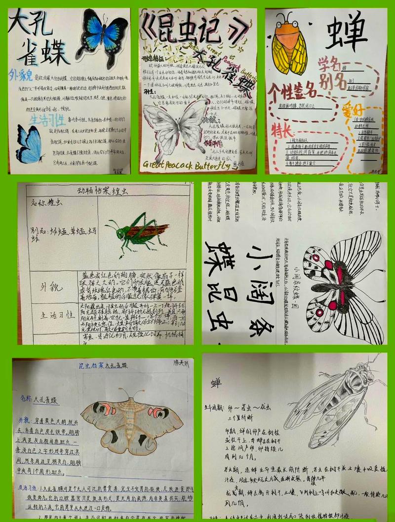 儿童亲子探究昆虫习性手绘记录