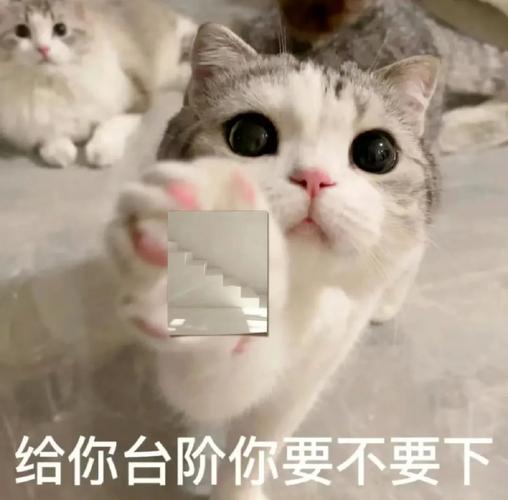 内链不是乱插,要给用户递对台阶