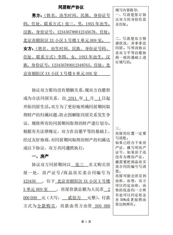 同居财产纠纷完整举证证据链示意图