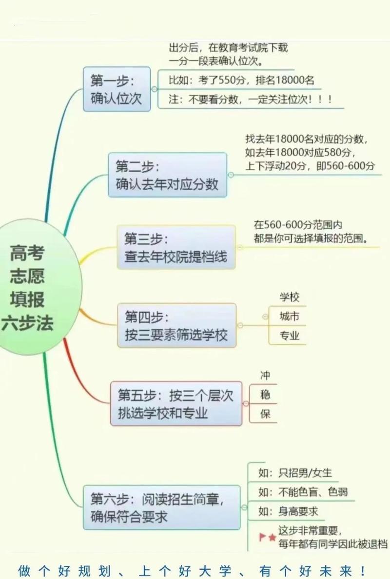 新高考志愿填报升学服务外包分工图