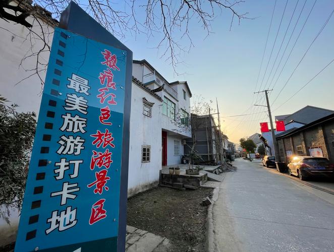 池州黎痕古街青石板缝长葛藤的近景
