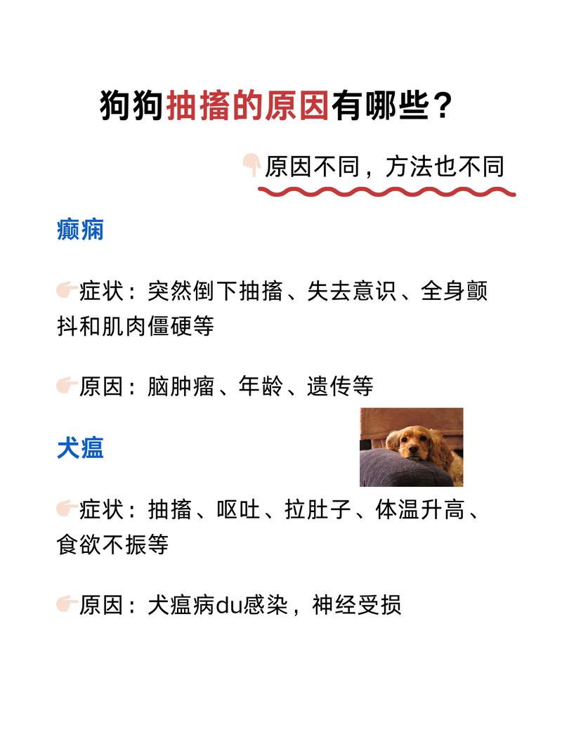 宠物不同原因抽搐症状对比表
