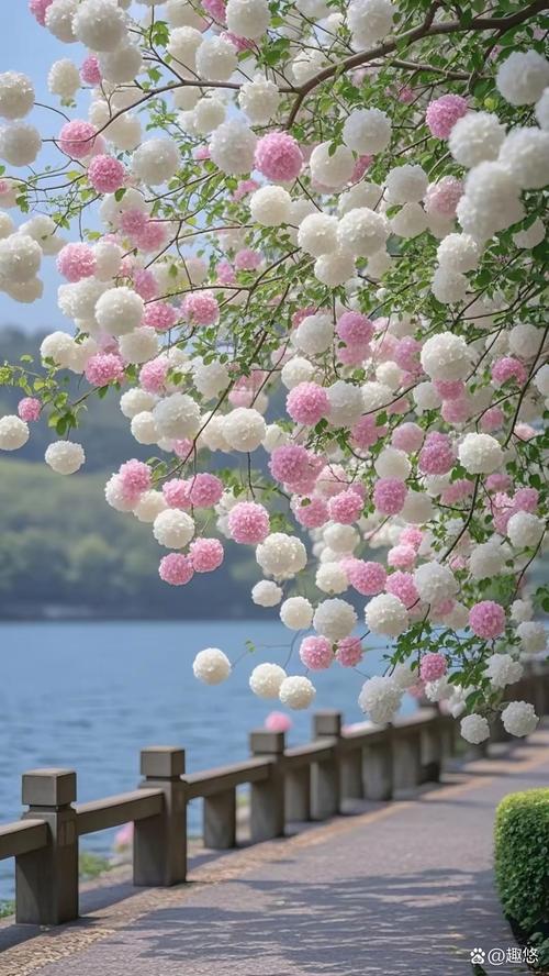 湖畔婚礼绣球花路引和湖景背景