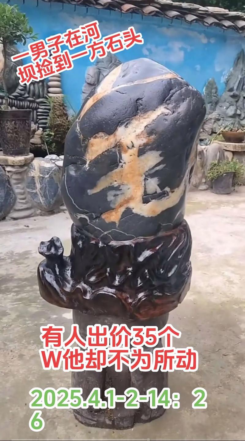 成为化石,比中彩票还难