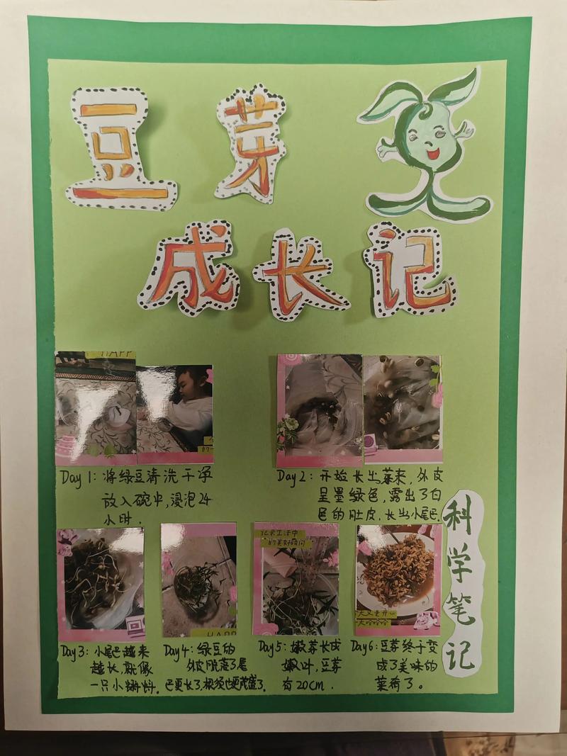 孩子用放大镜观察绿豆发芽过程手绘记录本