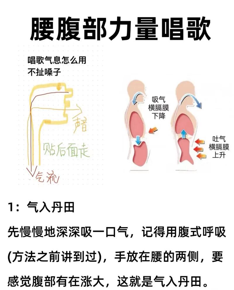 练习歌唱气息的腹式呼吸示意图