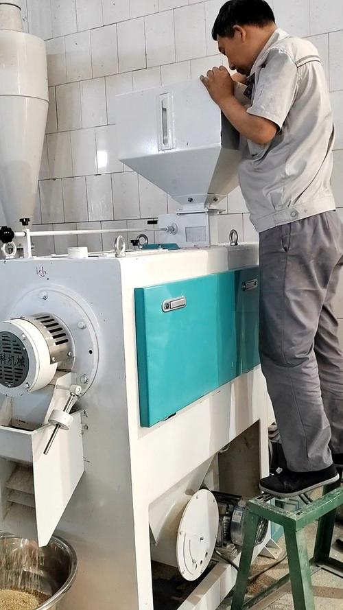 粮油加工坊不同类型脱皮机摆放实拍