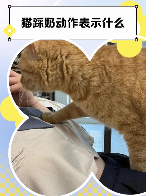 四岁儿童指着猫辩解牛奶被弄洒的场景