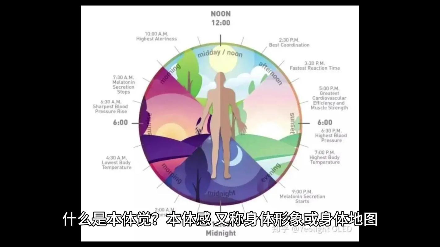 Body是啥？不是玄学，是触感
