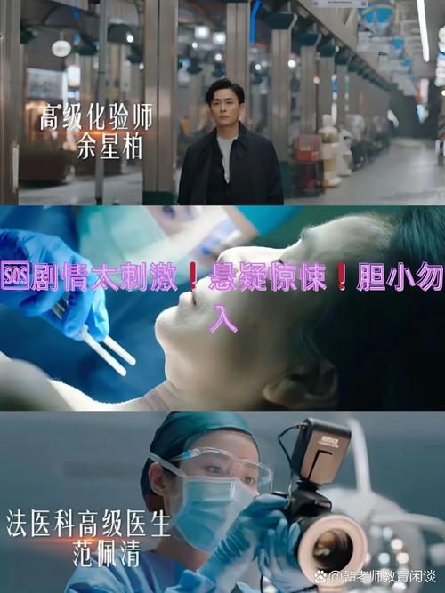 怎么挑律所?这5条救了我的命