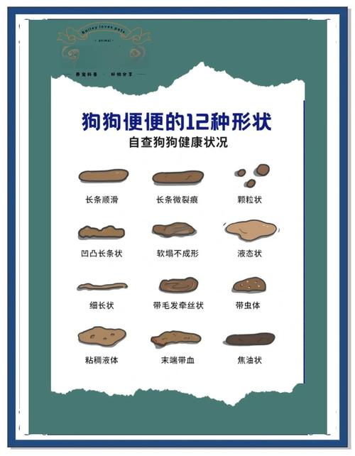 狗狗腹泻不同状态便便对照图