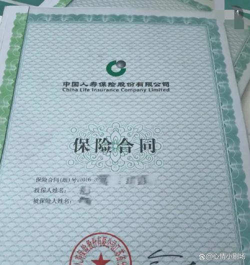 人寿保险合同保险金额栏实拍