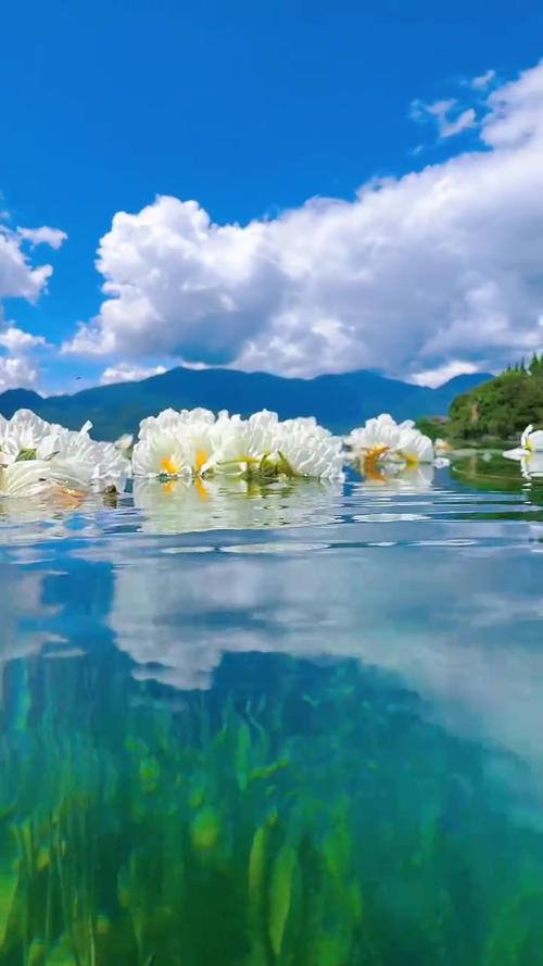 泸沽湖摩梭猪槽船船桨缠住水性杨花