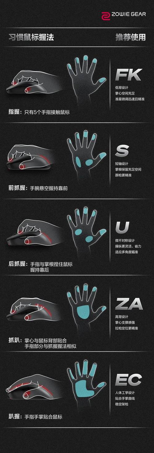 不止Notion,这些高效工具组合拳