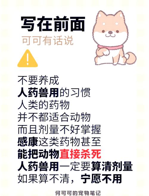 这些东西,绝对不能瞎往宠物急救箱放