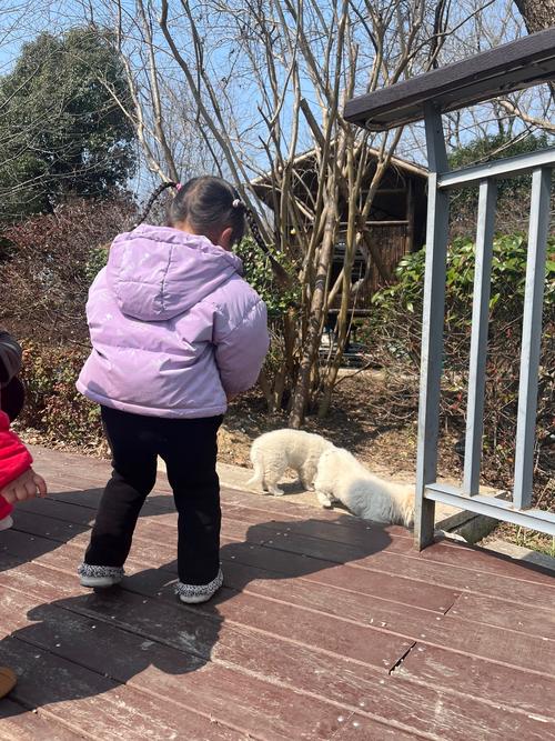 抱着幼犬在小区安全角落观察环境