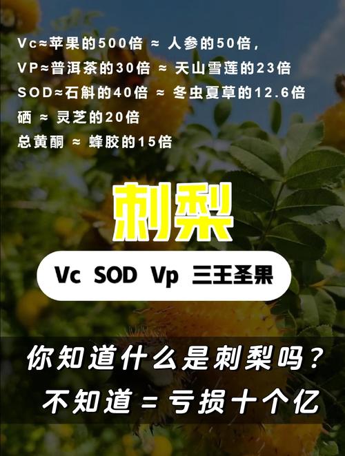 养了大半年，亲测有用的调整