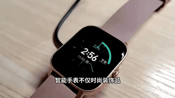 可穿戴动态血糖监测创新设计核心接口示意图