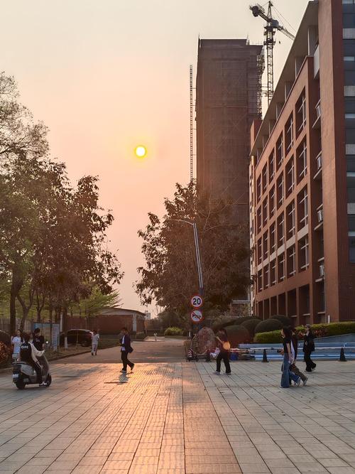 985大学老校门斑驳夕阳
