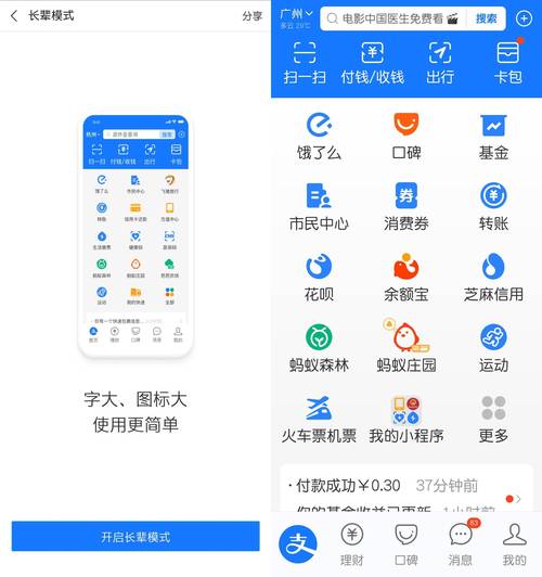 支付宝长辈模式手机首页界面截图