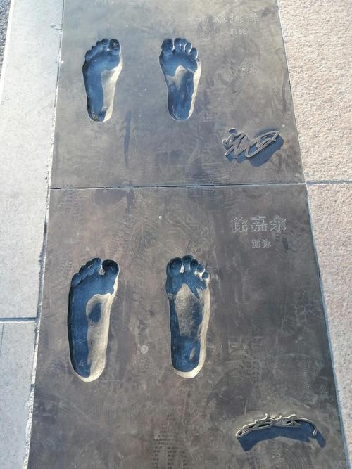 那些被我们亲手交出去的数字脚印