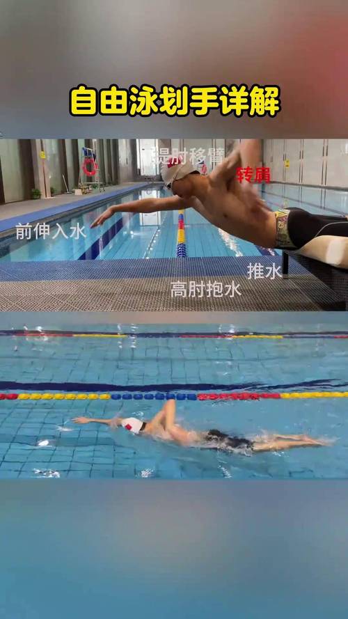 自由泳抱水动作分解示意图