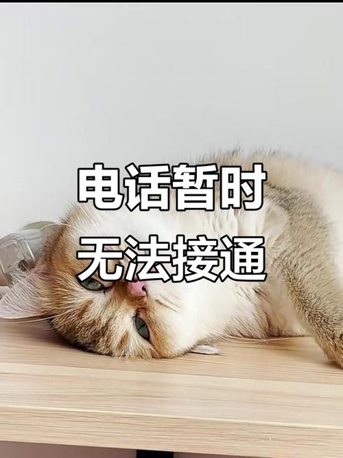 售后？不是接电话的那种
