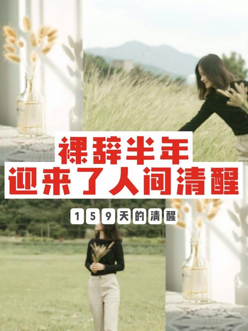 裸辞后的黄金恢复期，你在做什么？