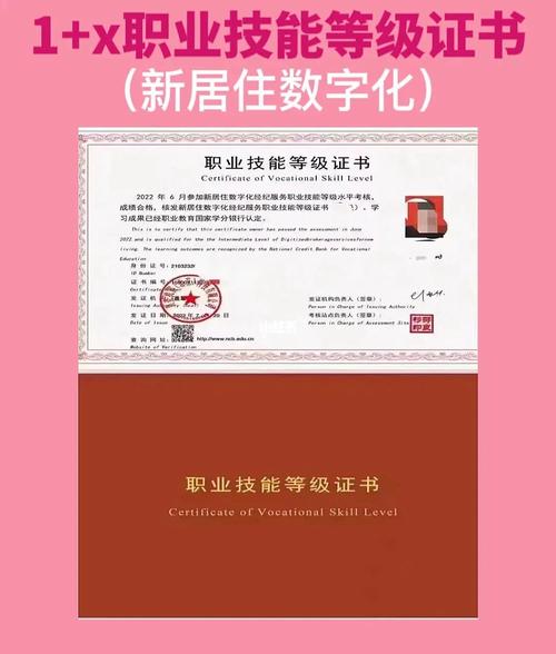 这几类人考1+X证书，性价比拉满