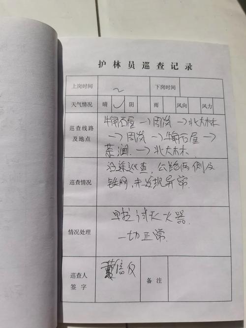 文物保护志愿者野外巡查登记记录表