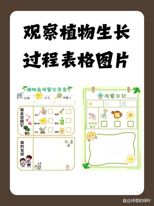 植物生长实验随机分组布点示意图