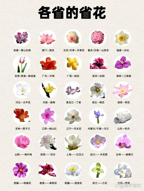 该花的别省，该省的别乱花