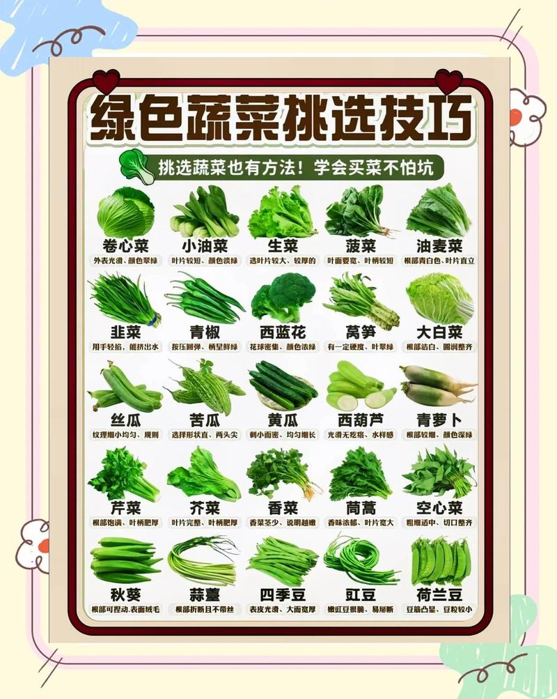 生鲜市场新鲜叶菜挑选对比图