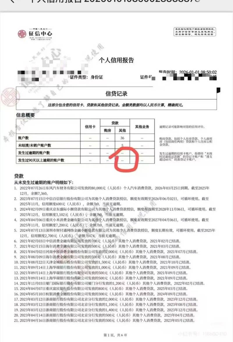 南京个人住房贷款征信查询报告单