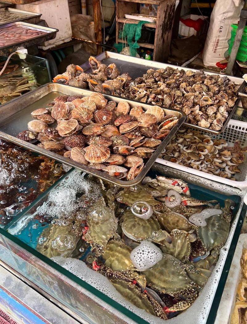 菜市场海鲜摊位鲜活贝类挑选实拍