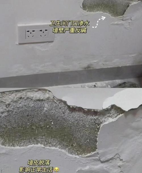 墙砖脱落原因分析示意图