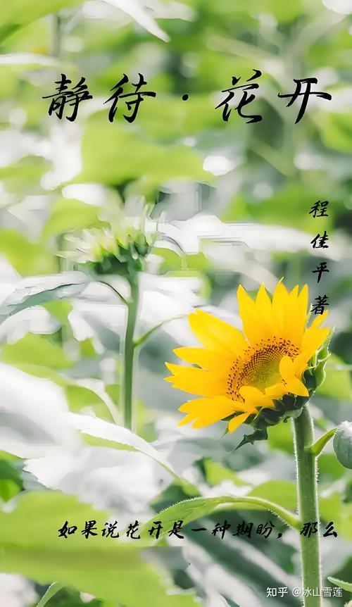 实操版“静待花开”指南:该做的一件别落,该等的别乱催