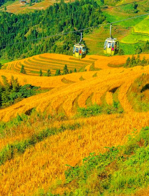 襄阳南漳黄垭村秋日梯田风光
