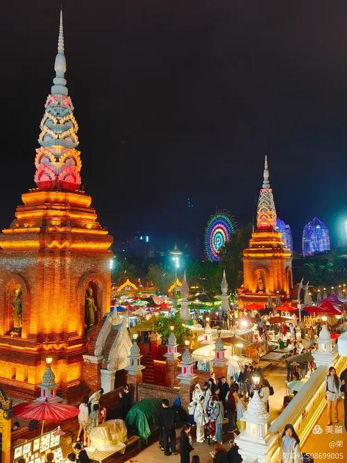 曼听公园夜游:黑夜里藏着白天的秘密