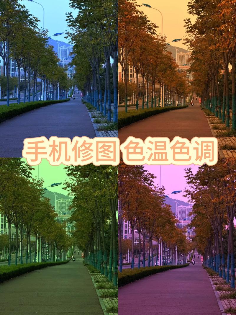 手机修图曝光和色温调整前后对比