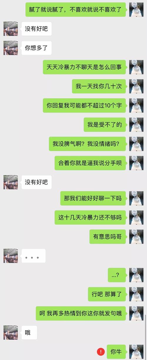 同居分手财产纠纷微信聊天记录