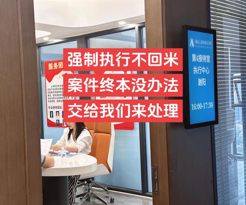 债务追偿律所律师团队分析执行案件材料