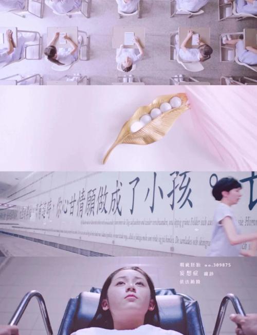 孩子，从来不是筹码