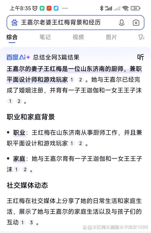 百度AI搜索摘要结果页面截图